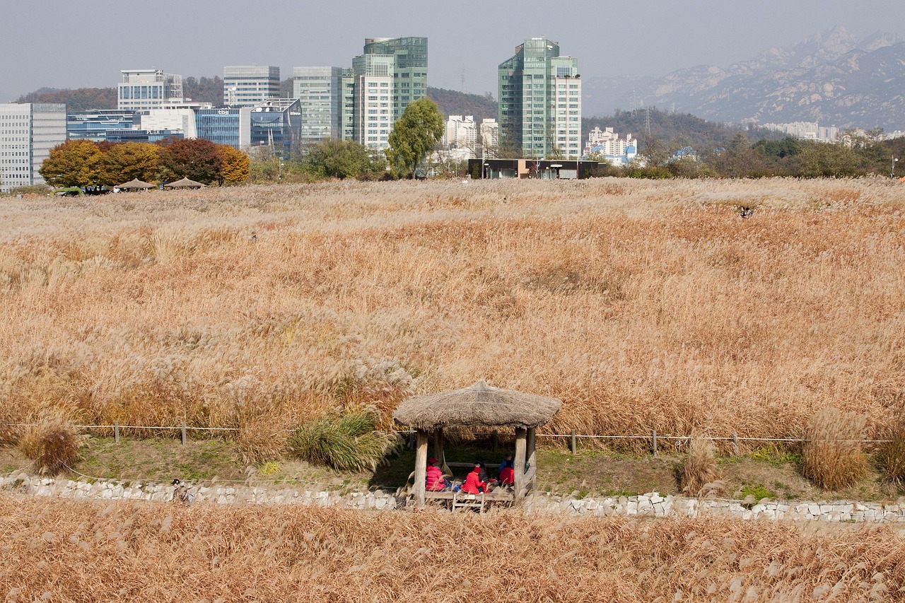 상암동 필라테스 체험 후기와 효과