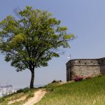 수원 난임한의원 후기와 추천 리스트 알아보기
