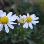 아랫배 운동 전후 식사 조절 방법 살펴보기