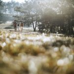 임신 전 한약과 양방 치료 병행 시 고려사항 알아보자